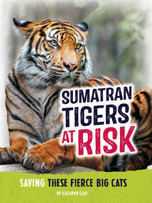 cover image of Sumatran Tigers at Risk